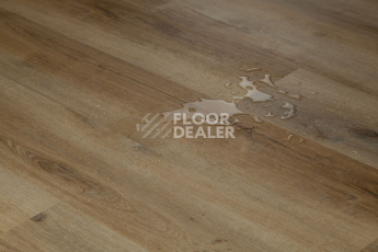 Tarkett Funky House BOB фото 6 | FLOORDEALER